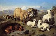 unknow artist Sheep 191 oil painting picture wholesale